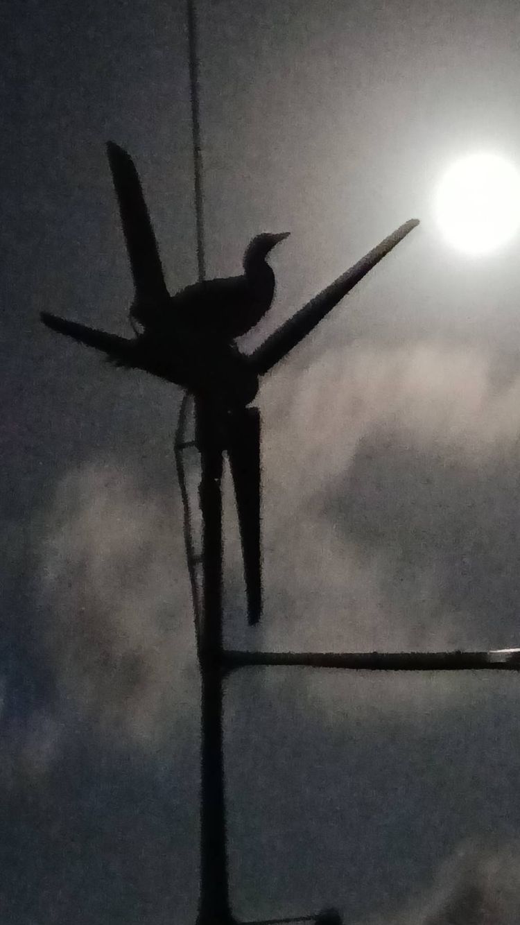 Voyage photo from Christmas island to Cocos (Keeling) islands