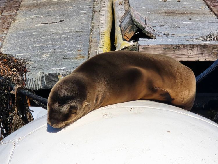 Voyage photo from emb with Jewels on 663