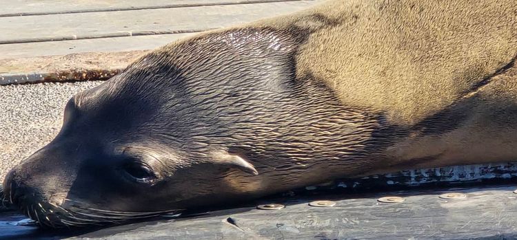 Voyage photo from emb with Jewels on 663