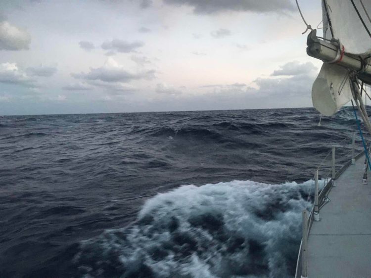 Voyage photo from 14 novembre au 03 décembre