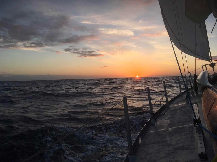 Voyage photo from 14 novembre au 03 décembre