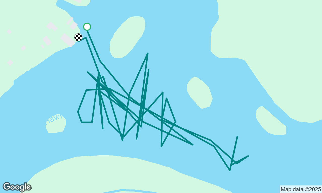 Laser dinghy sail
Hot asf