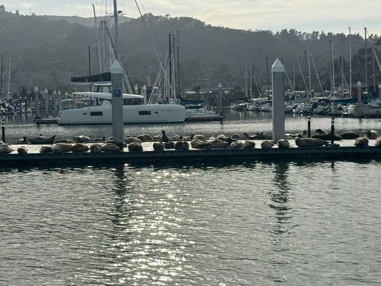 Voyage photo from No wind on Hummingbird