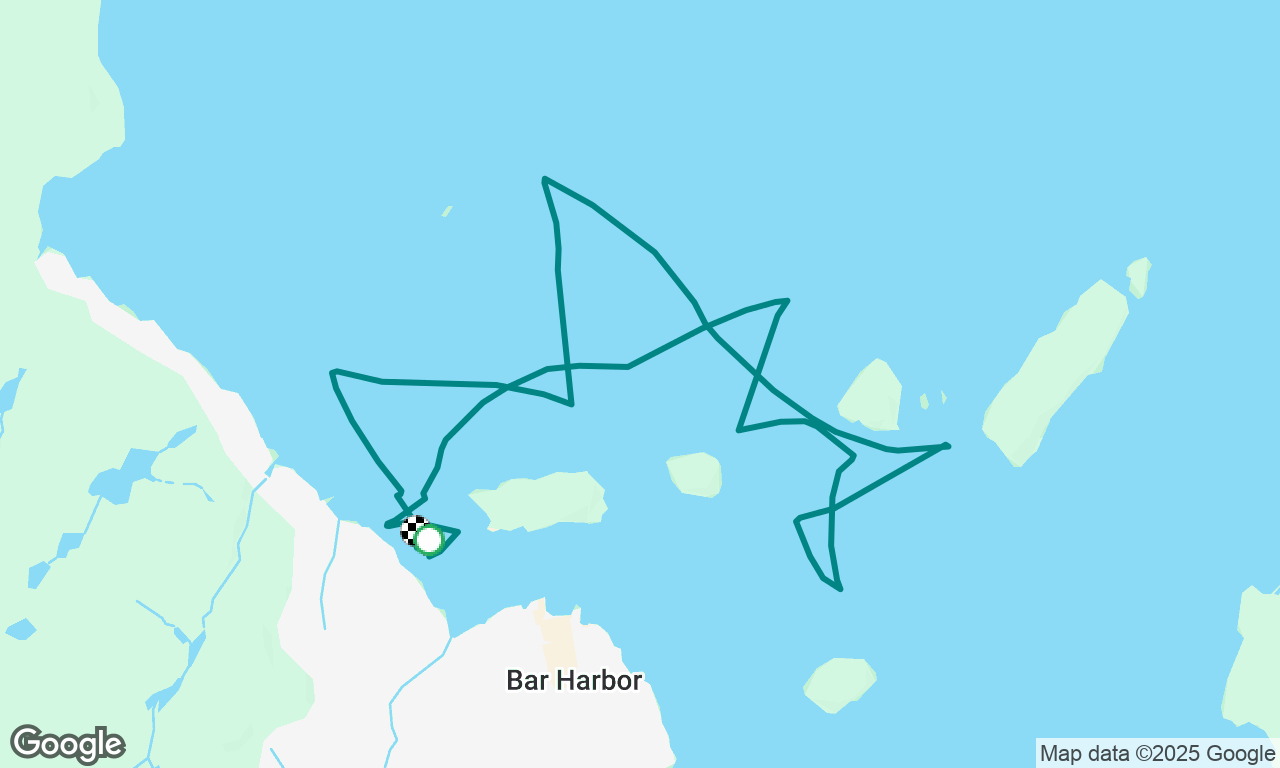 Gentoo sail 