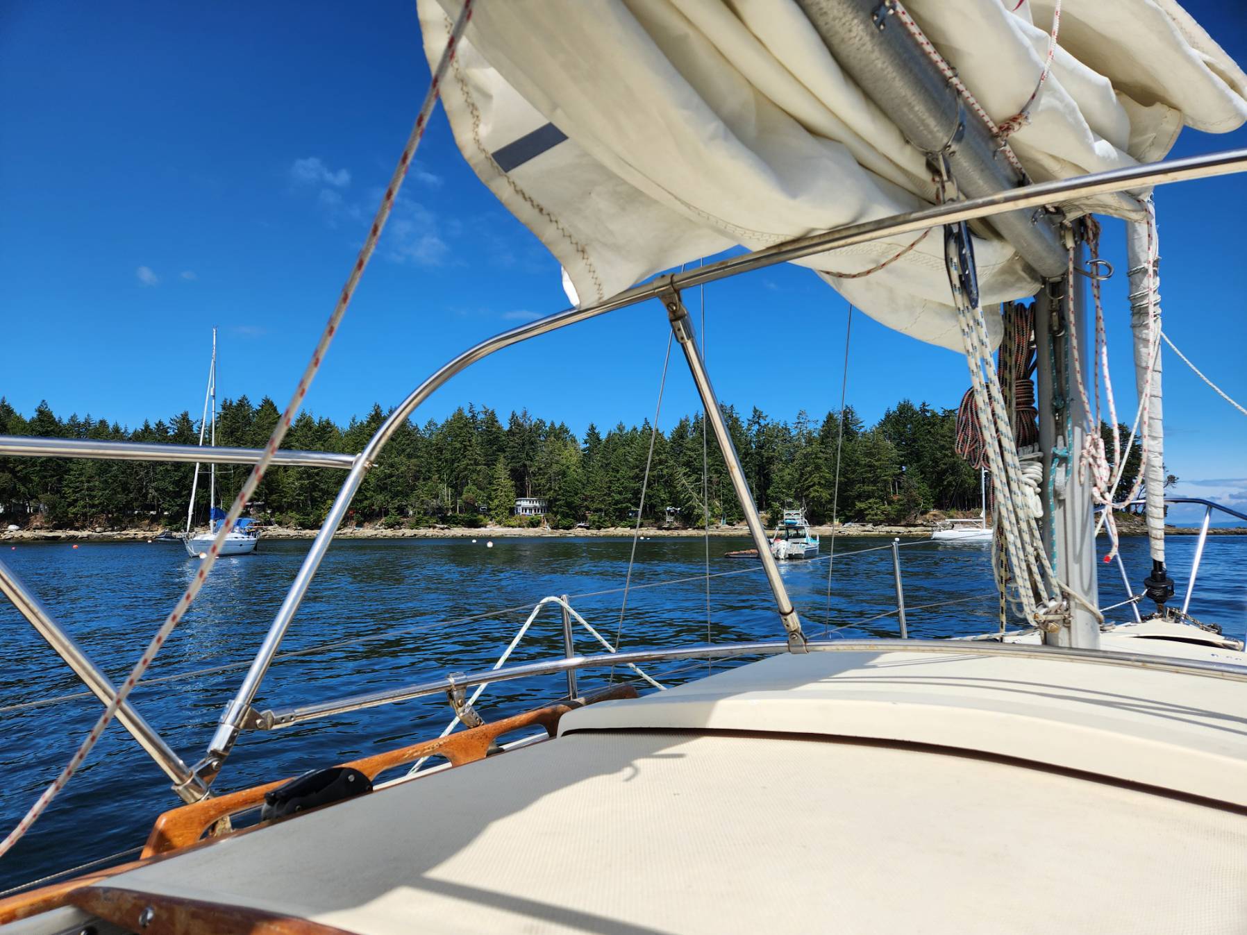 Sunday Voyage_AA7A1D4D-ED81-46FA-965A-C221E5B985D6