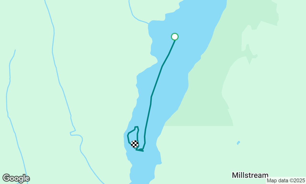 Marina Maneuvers