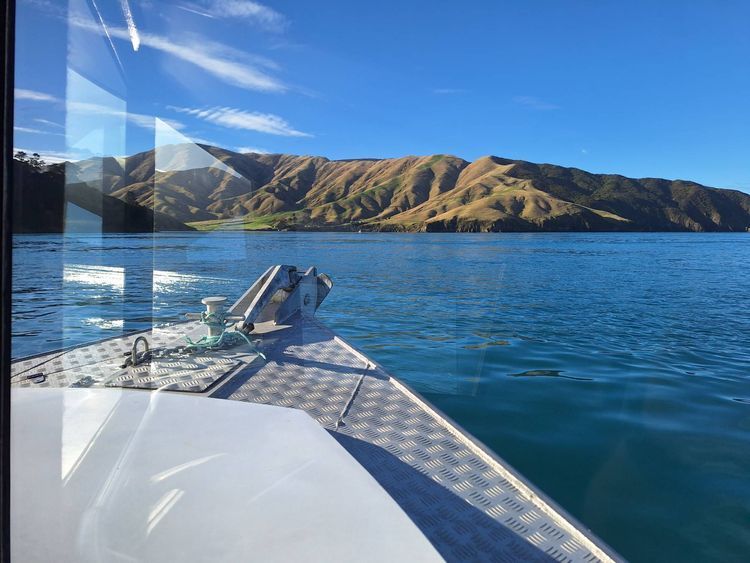 Voyage photo from Friday Tory Channel mail run
