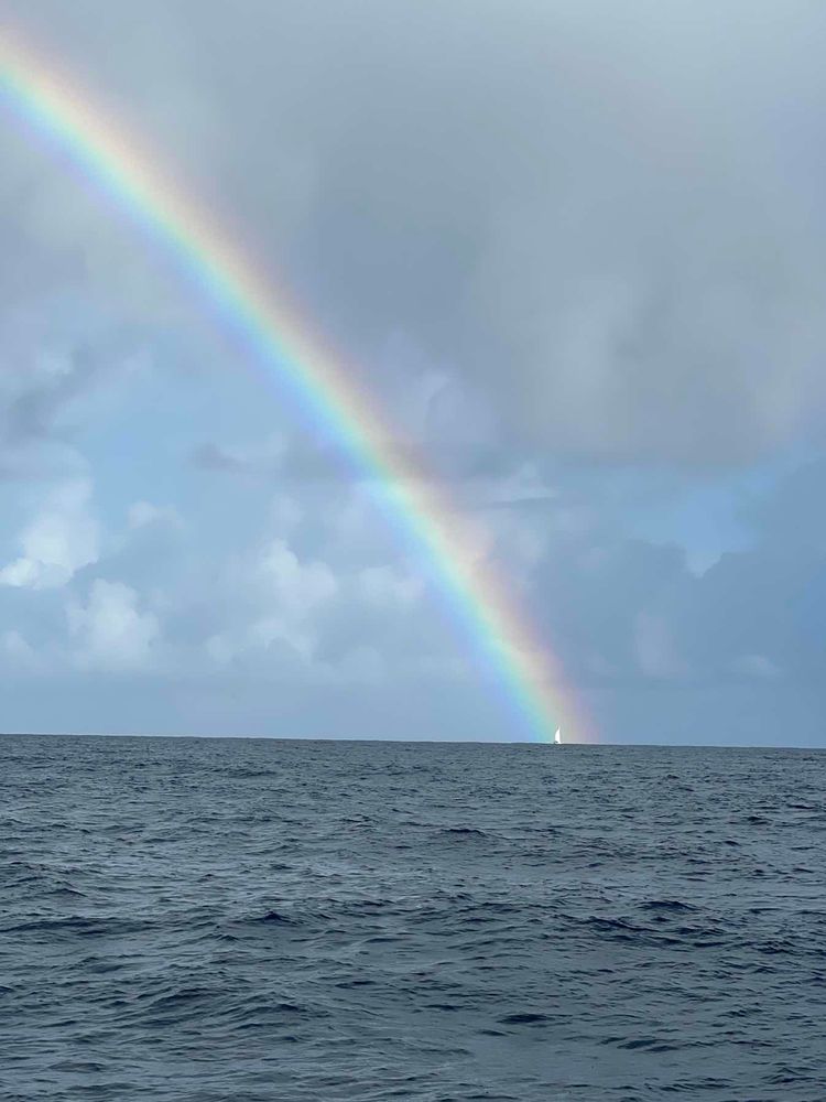 Voyage photo from Back to Antigua