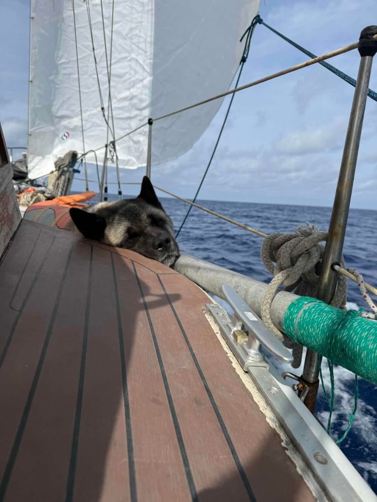 Voyage photo from Atlantic bound! - part 6