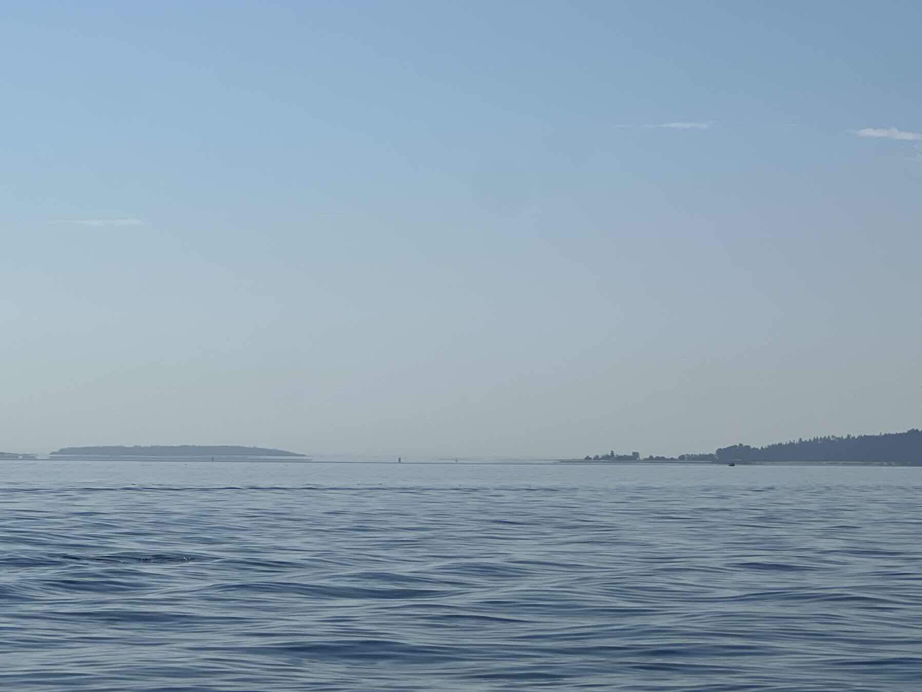 Sidney Spit for lunch_CED108E5-6D4E-4486-9AB1-CFC22CBFCF48