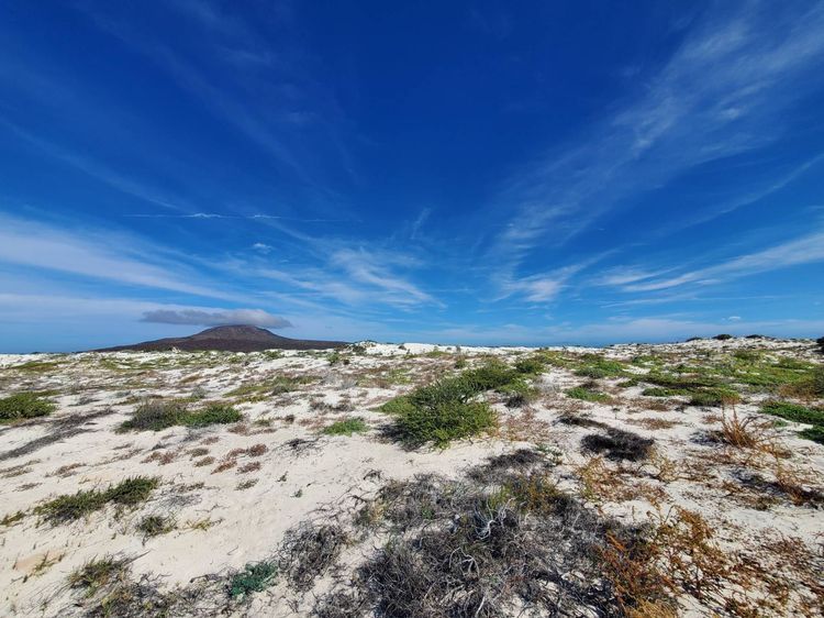 Voyage photo from Isla Coronado - Bahia Balandra