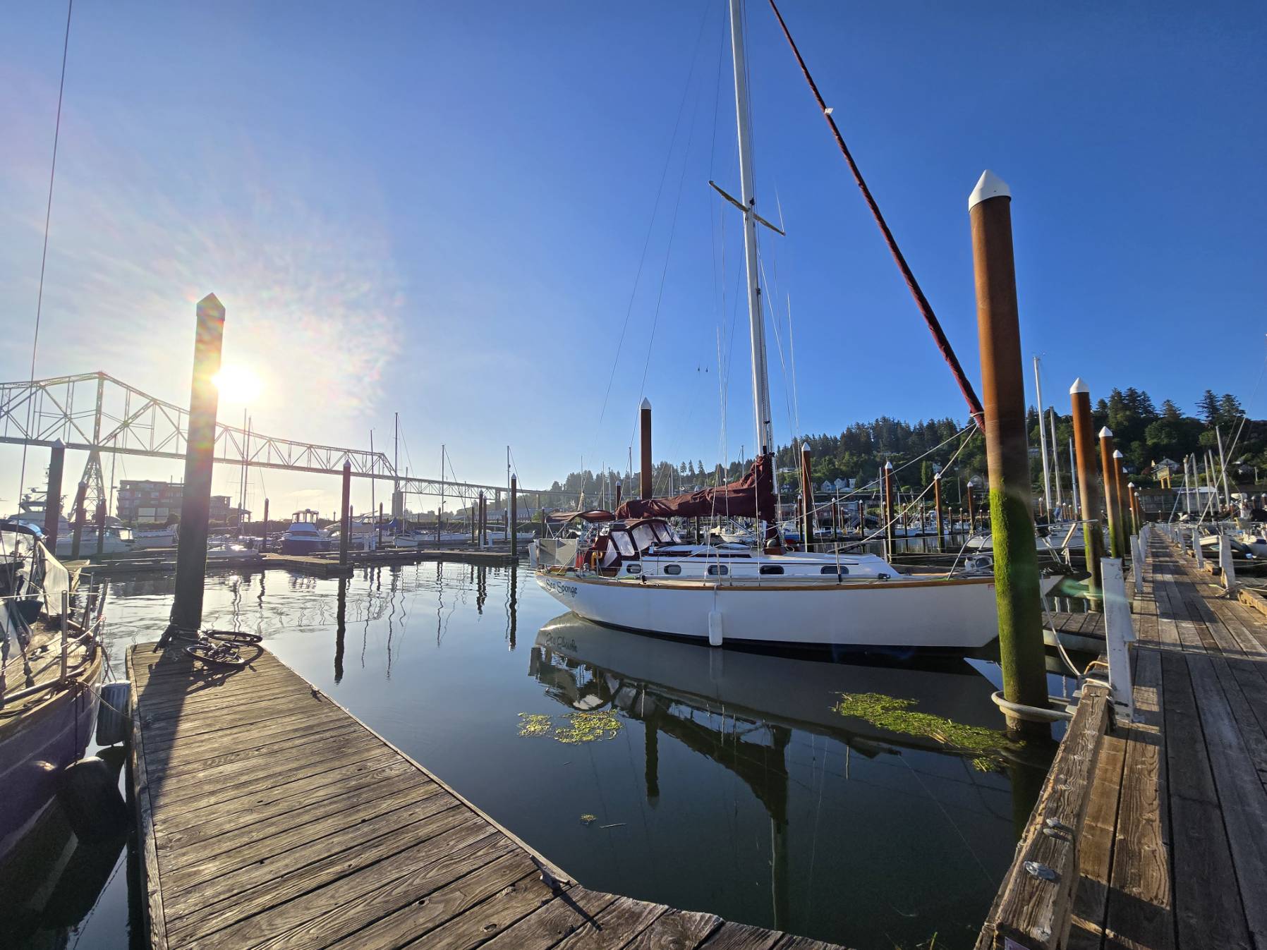 Sea Sponge: Astoria to Rainier, OR_1F79EF3B-2785-4F9C-A83F-3B35F28B5247