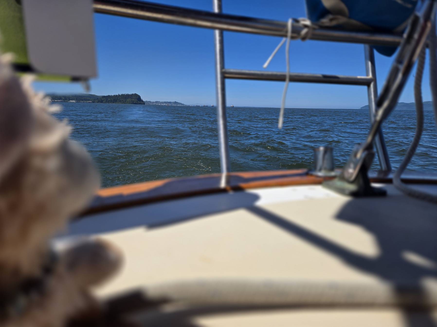 Sea Sponge: Astoria to Rainier, OR_F32059A4-2FE8-4F50-B6F9-3DAE1FC88542