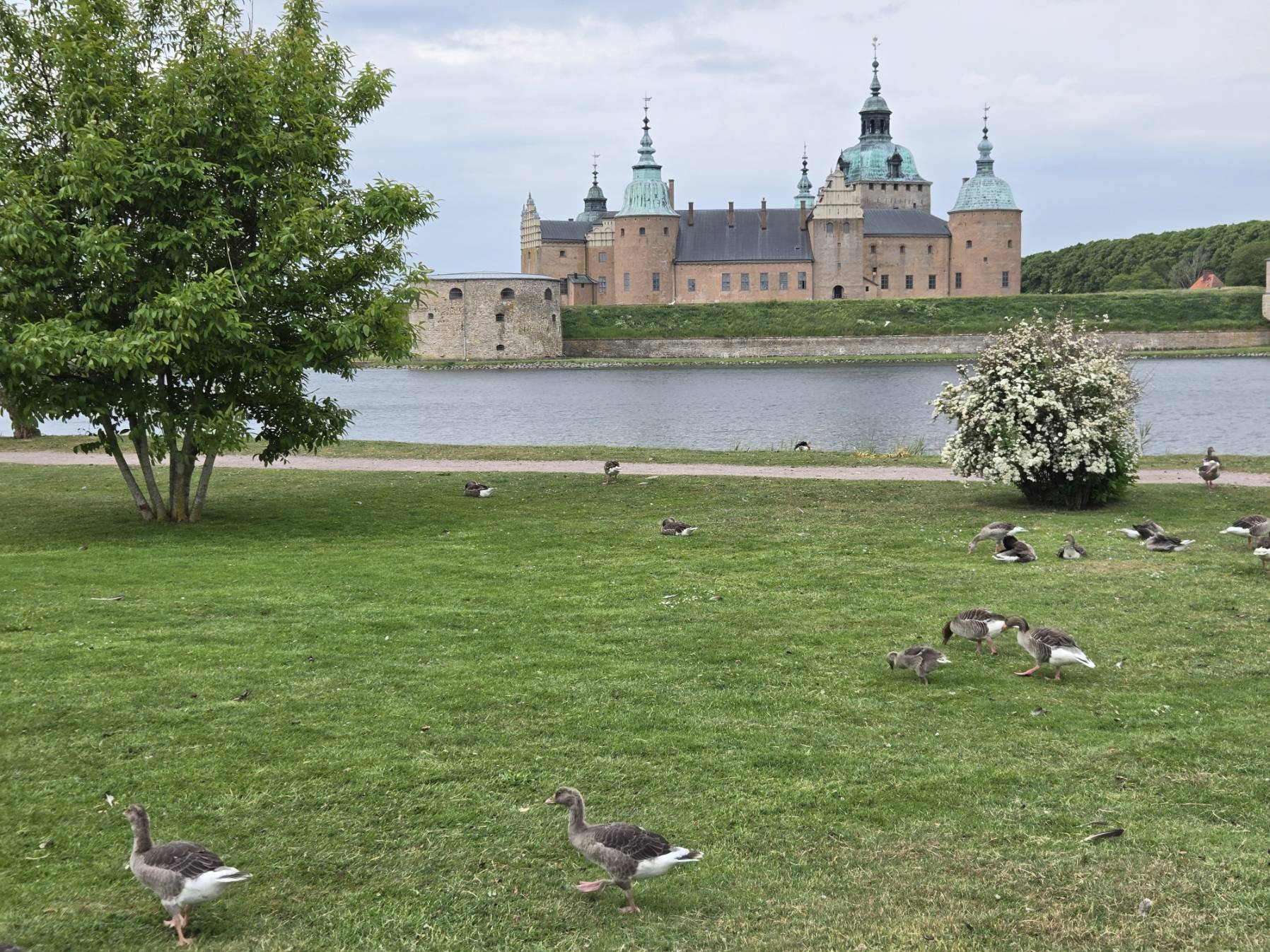 Kalmar Visby glorious sail_8AFA7340-17D7-4F5B-93BC-6918ED6E118C