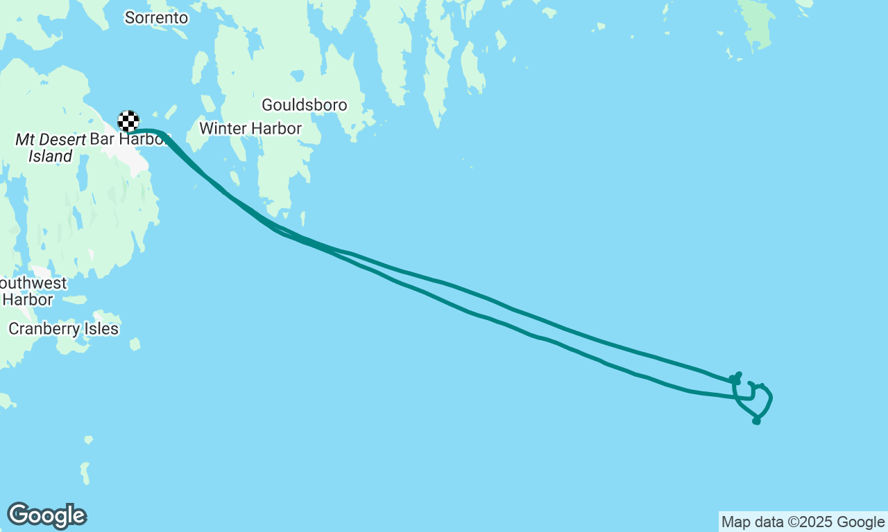 Whale watch
