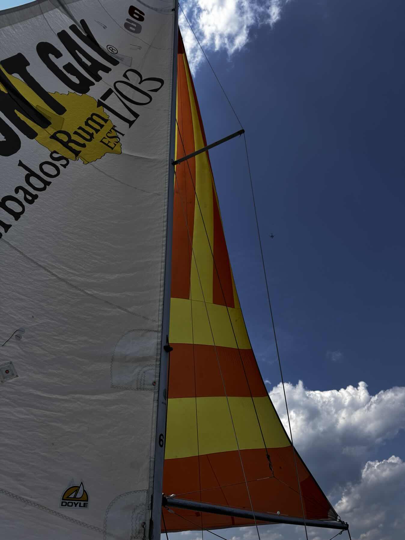 Verrazzanno _5407C70E-D583-47FE-B5A7-A85A9D351DF3