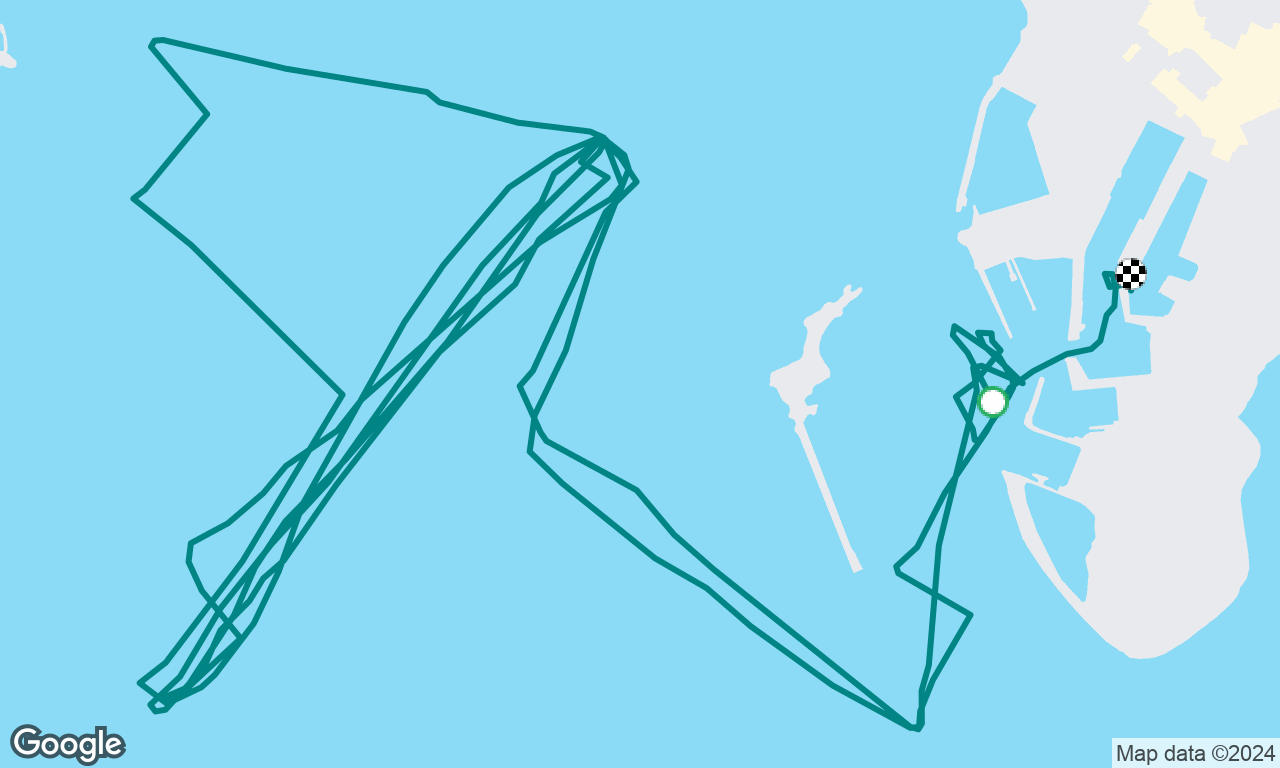 Summer Bay Race 2