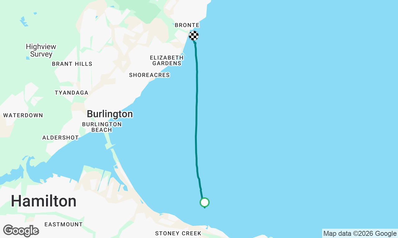 Newport to bronte