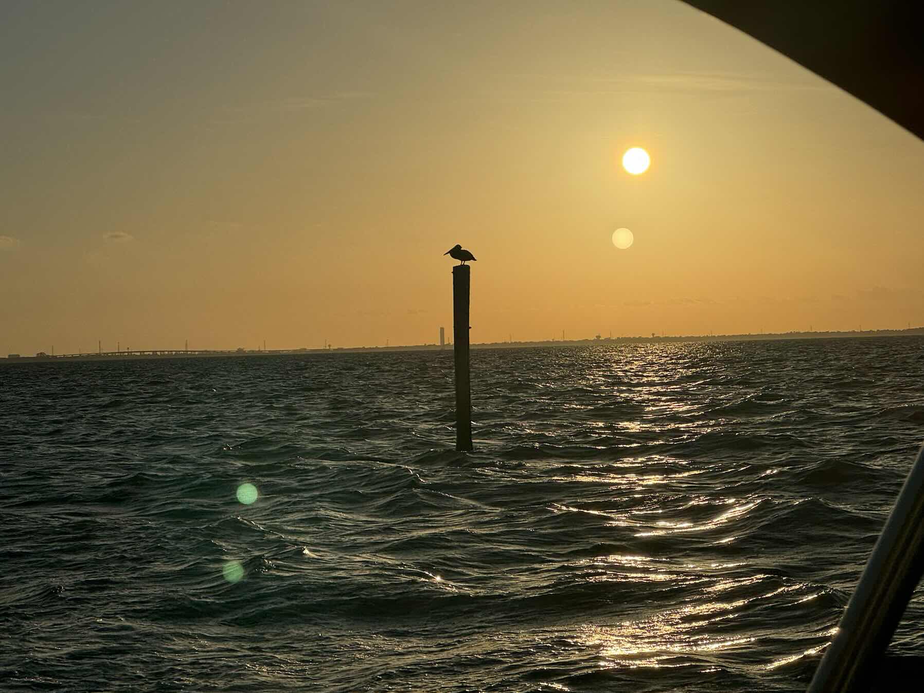 Tue Cruise on the Bay_2C4F7067-AF33-4698-8E65-78C3D1B6808B