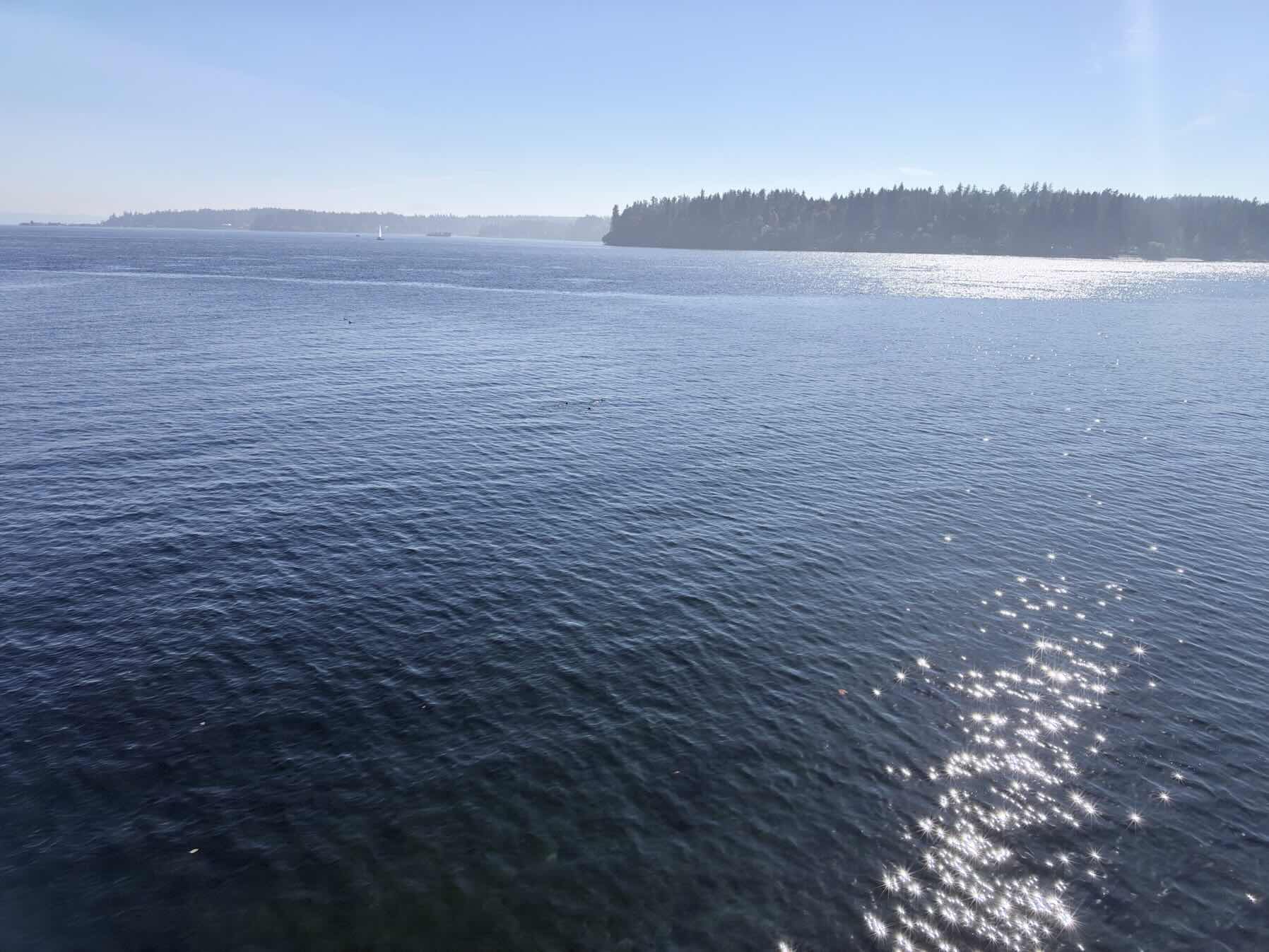 Day sail to Suquamish_DF87D10C-A14B-4F4F-8867-3F50CF4CE0D2