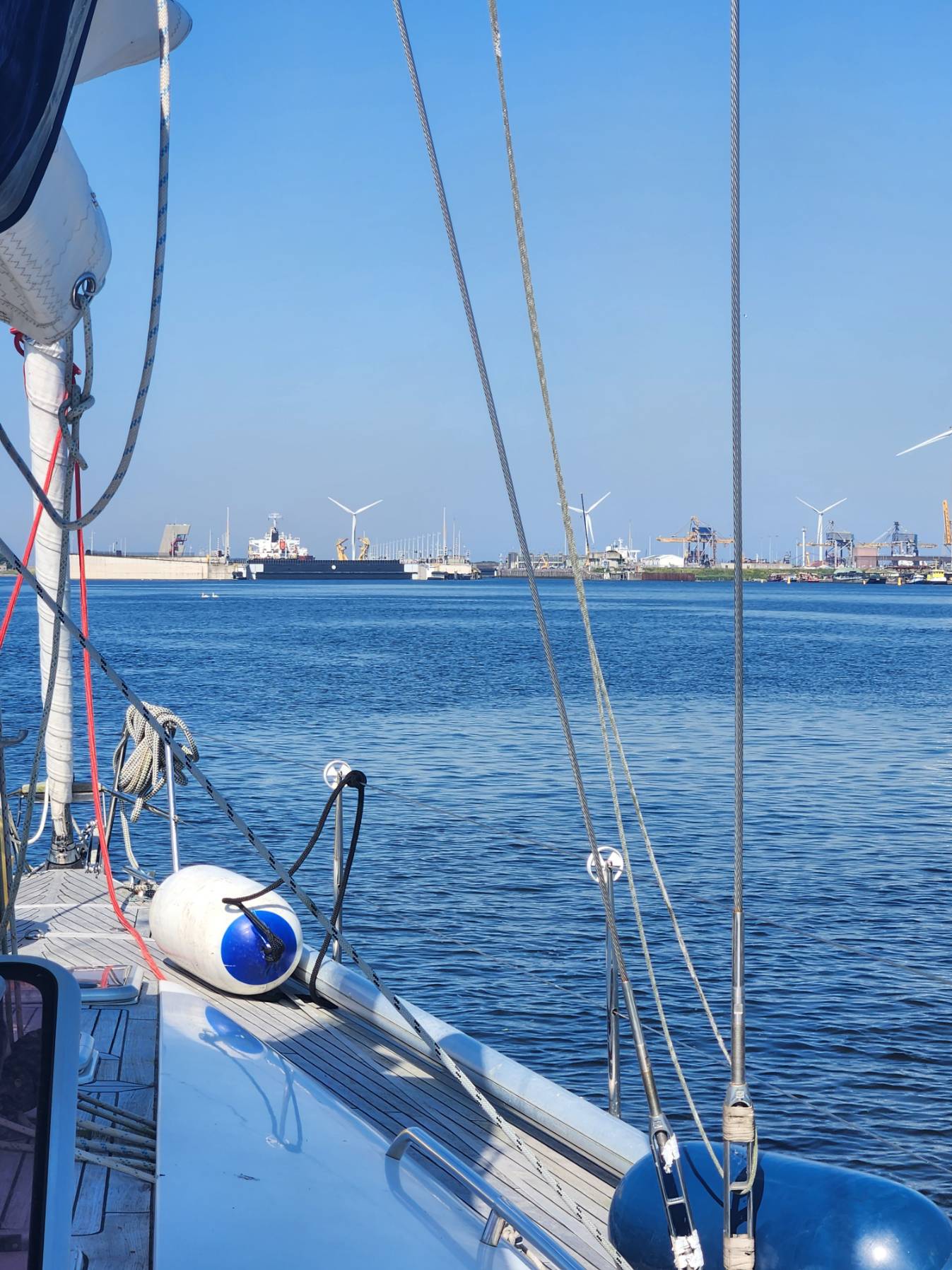 Assisting owner and son from Amsterdam to Brighton_EB122EE3-7783-45BA-802D-9E6CCD9DE8B9