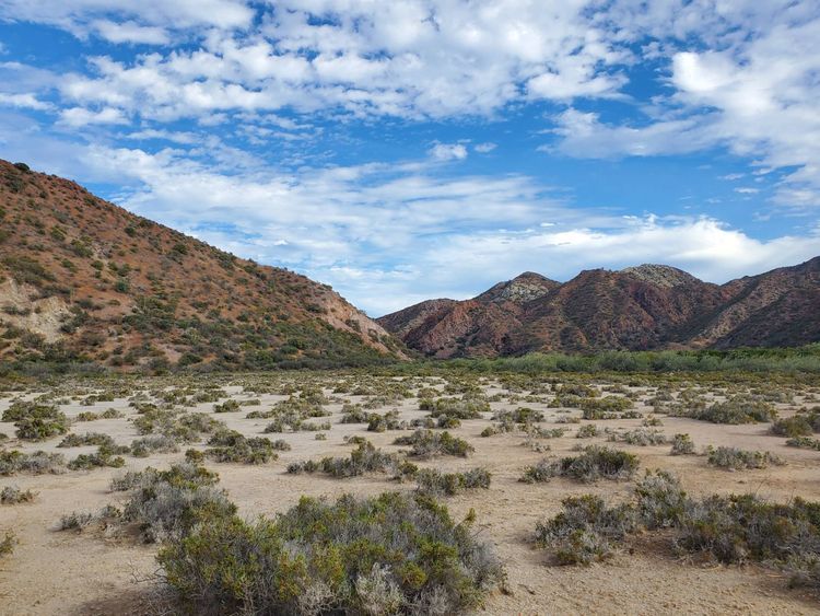 Voyage photo from Bahia Balandra - Honeymoon Cove, Isla Danzante