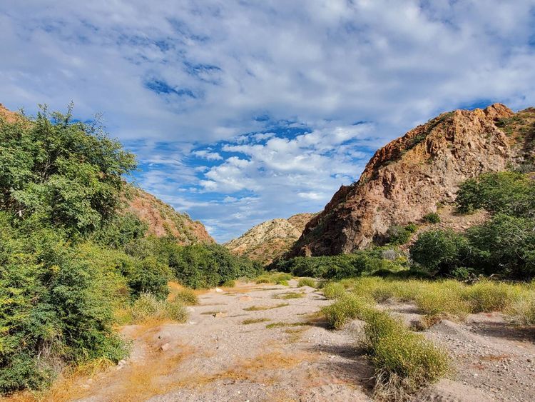 Voyage photo from Bahia Balandra - Honeymoon Cove, Isla Danzante