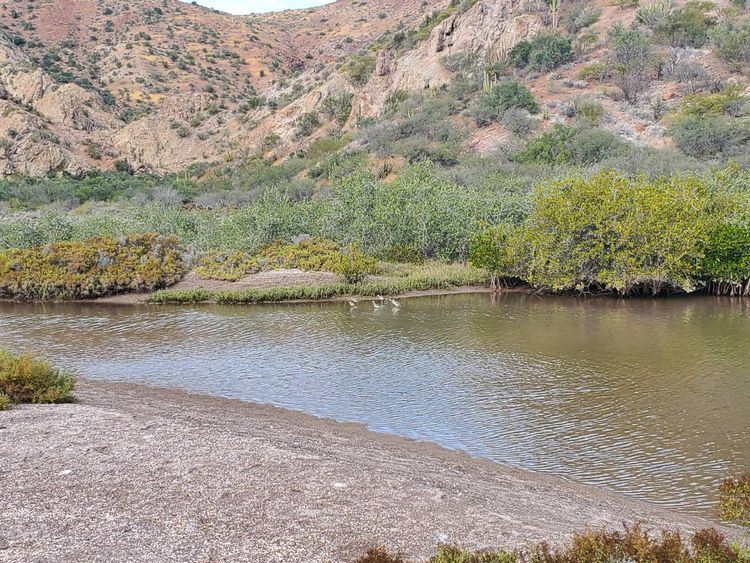 Voyage photo from Bahia Balandra - Honeymoon Cove, Isla Danzante