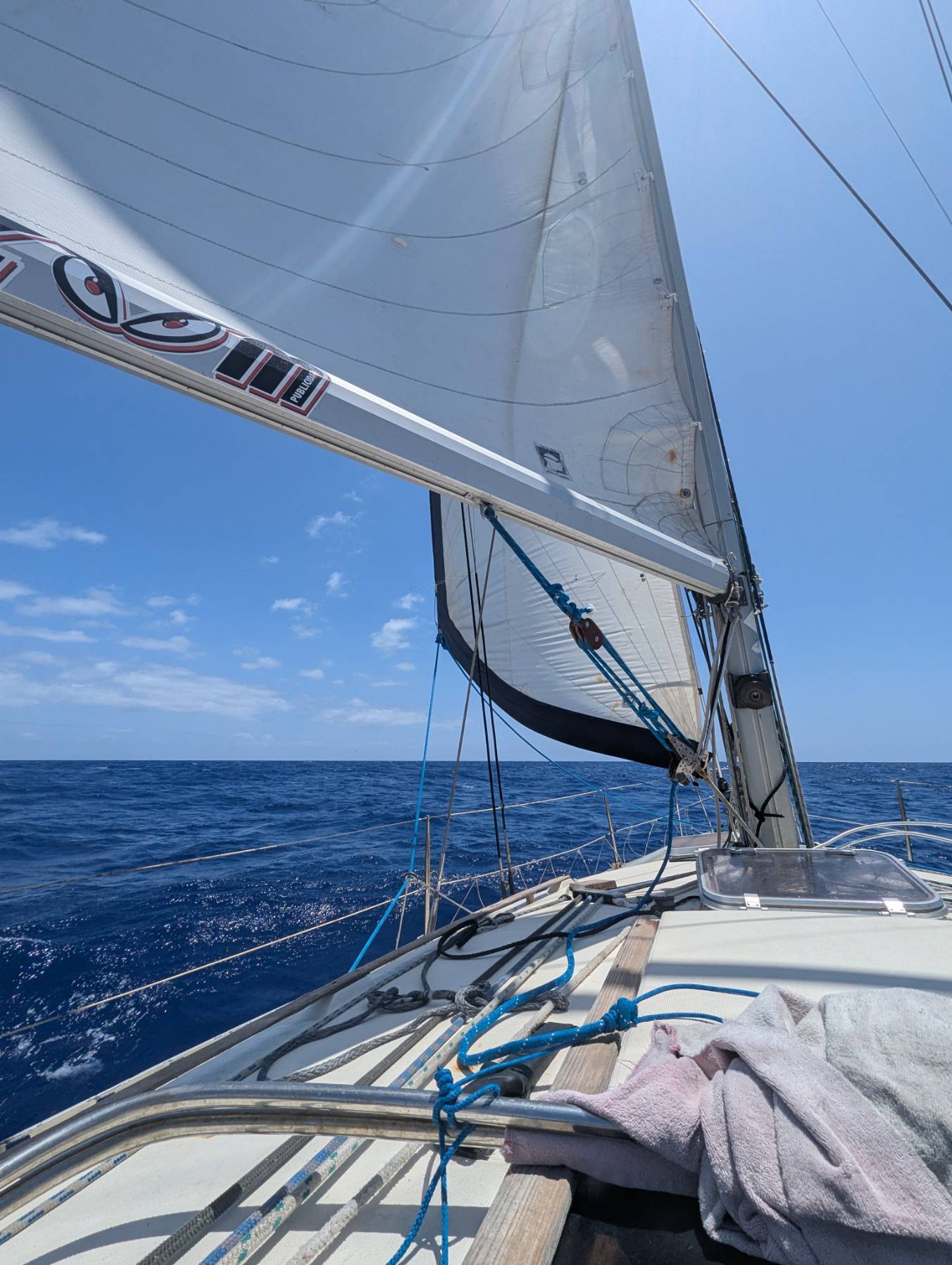 Funchal Sail w Laura_5256CABB-D734-474C-8729-693DD1134BB4