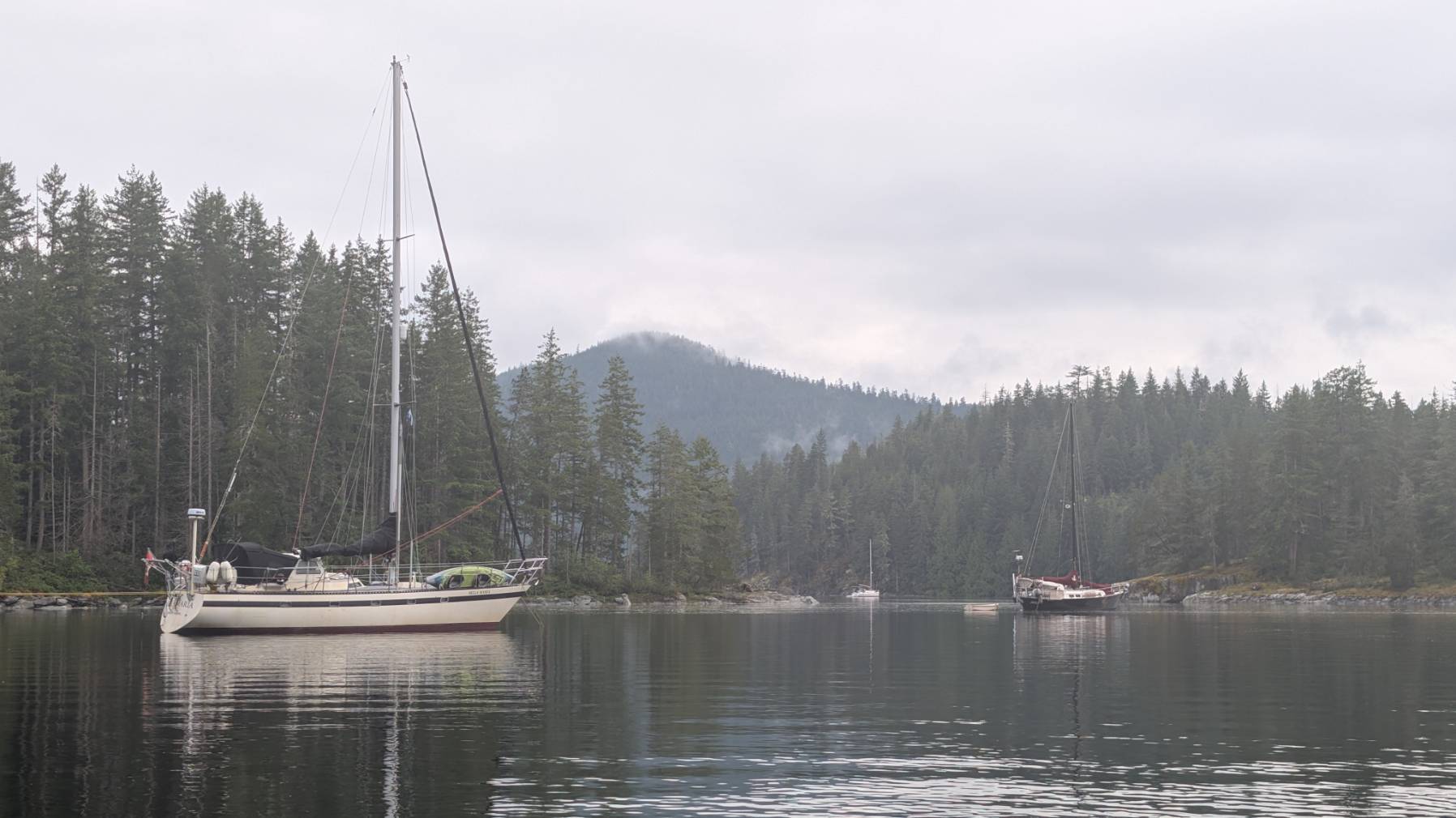 Day 3 - Handfield Bay to Octopus Islands_226AA3BF-68DB-43D1-9E7A-D6090FB2B3AC