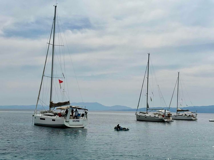 Voyage photo from Loutraki, Skopelos to Koukounaries, Skiathos