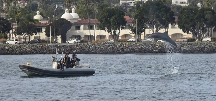 Voyage photo from emb with Kim on 699