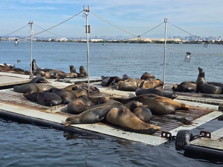 Voyage photo from emb with Kim on 699