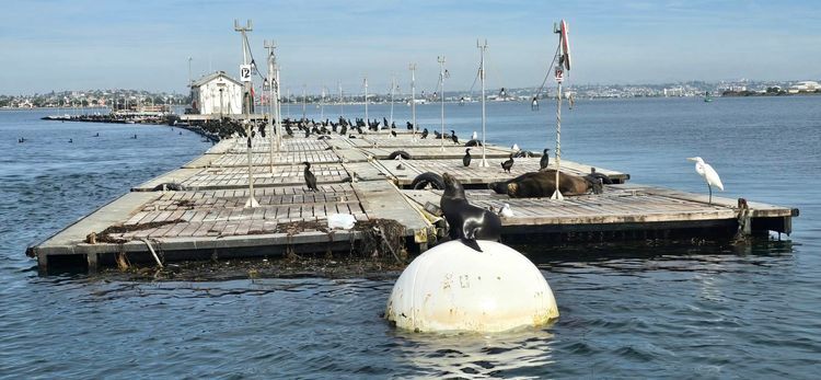 Voyage photo from emb with Kim on 699