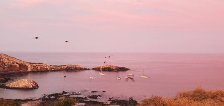 Voyage photo from Isla Isabel - Bahia Matanchen 