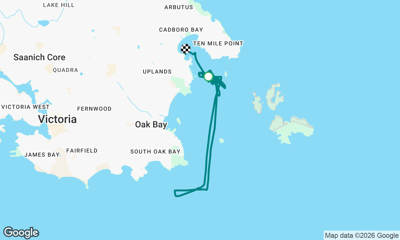 Wed Club Race
