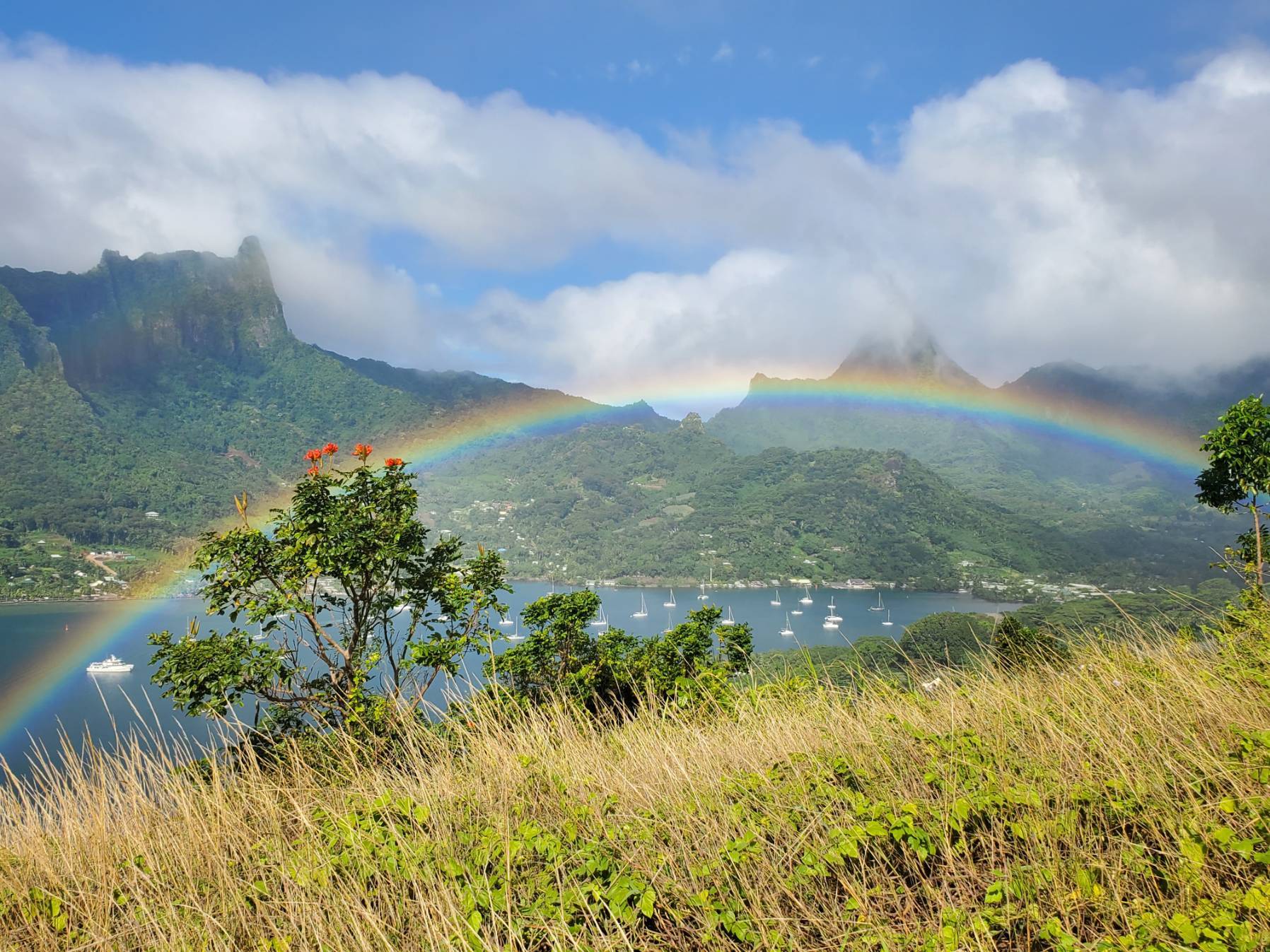 Cook's Bay-Vaiare, Moorea_57DE8299-0653-4FA6-8A35-41E0521E2BB1