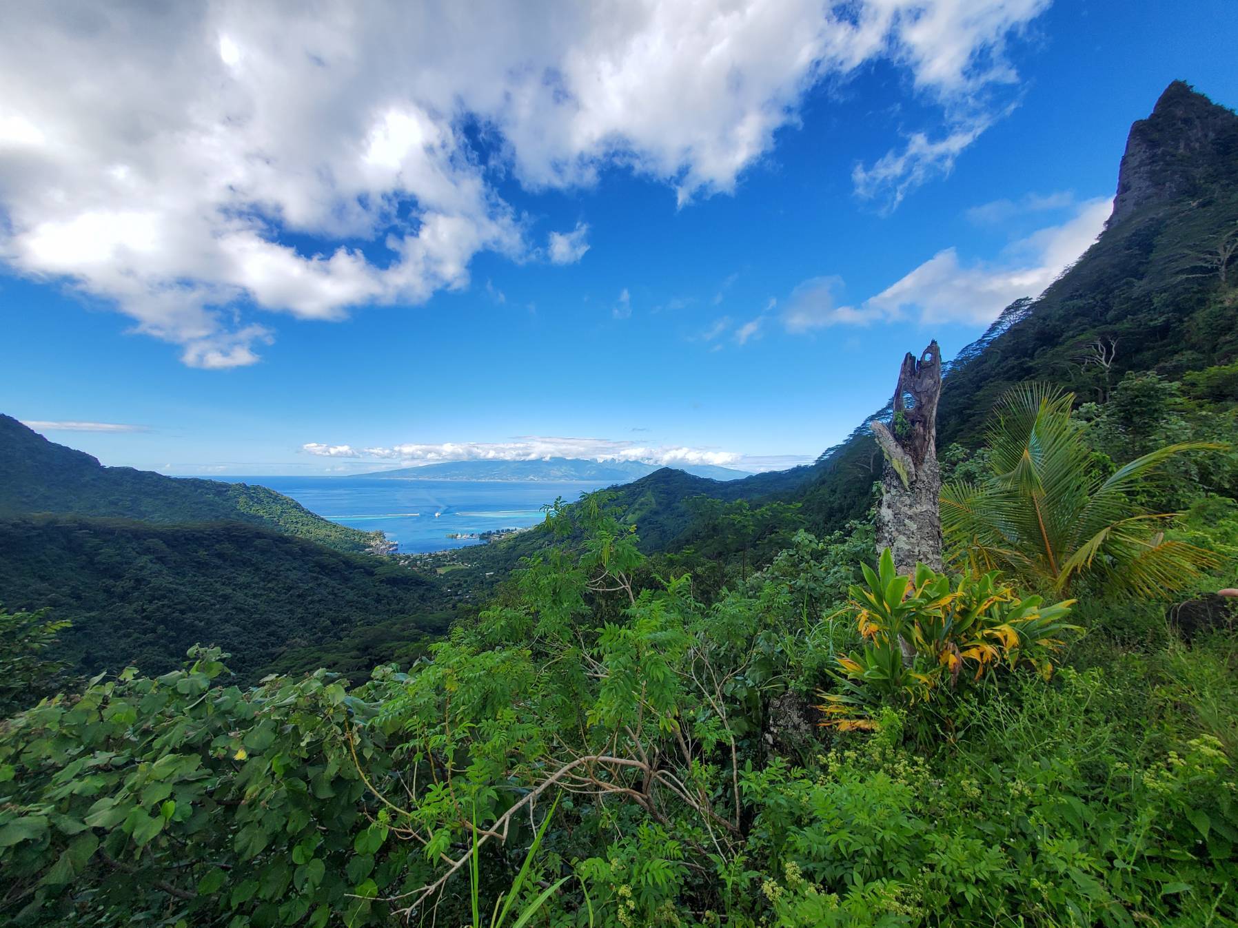 Cook's Bay-Vaiare, Moorea_FA0FAB72-3782-4FD6-A7EC-BC3864C8B827