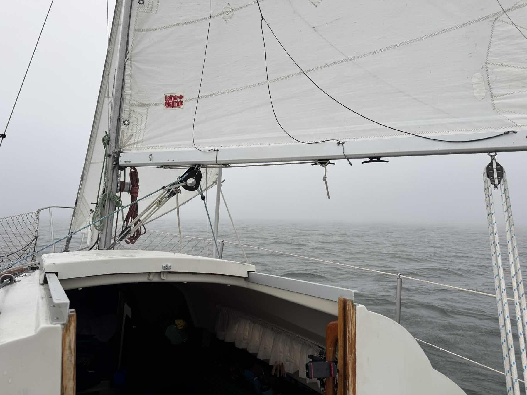 Solo from Sage Bay 2_1E329871-1BE4-4096-8338-F6907D5859CF