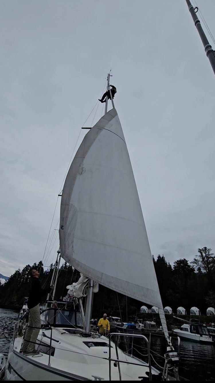 Voyage photo from Princess Louisa Inlet Day 4