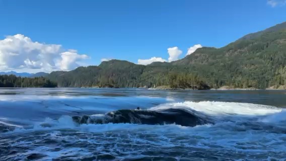 Princess Louisa Inlet Day 4_388E4D06-DC90-4415-91A8-A5E829F65928