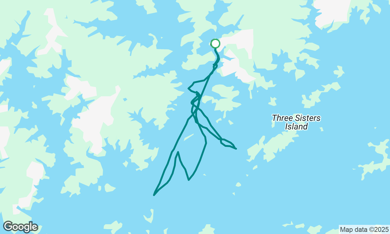 Sail training