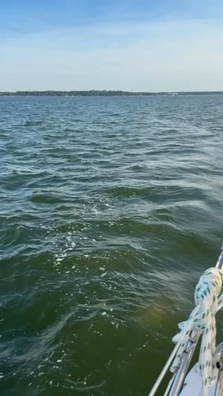 Dolphins came for as visit_EFA91447-D307-4238-82B2-02B4700DAFE9
