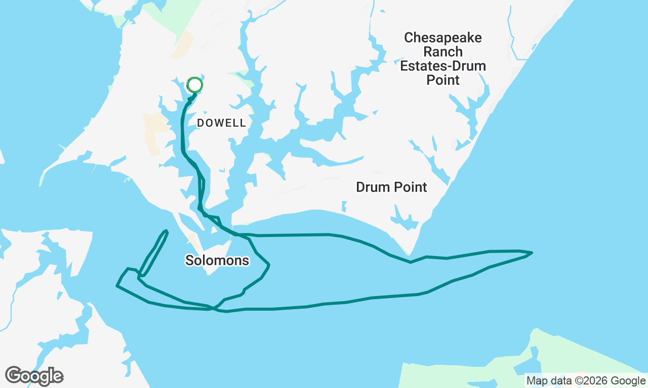 Dolphin Cruise