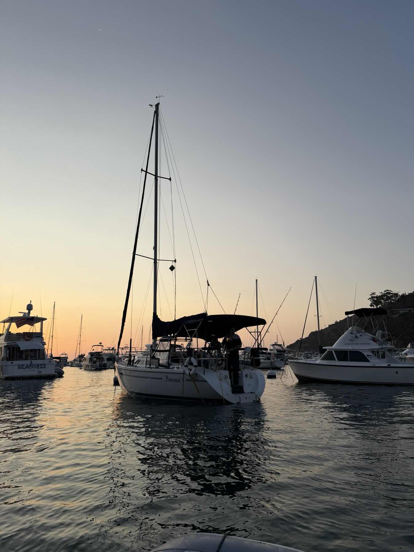 Catalina Vacation_9E7B2530-E2B5-4905-836C-49CE24C5C87E
