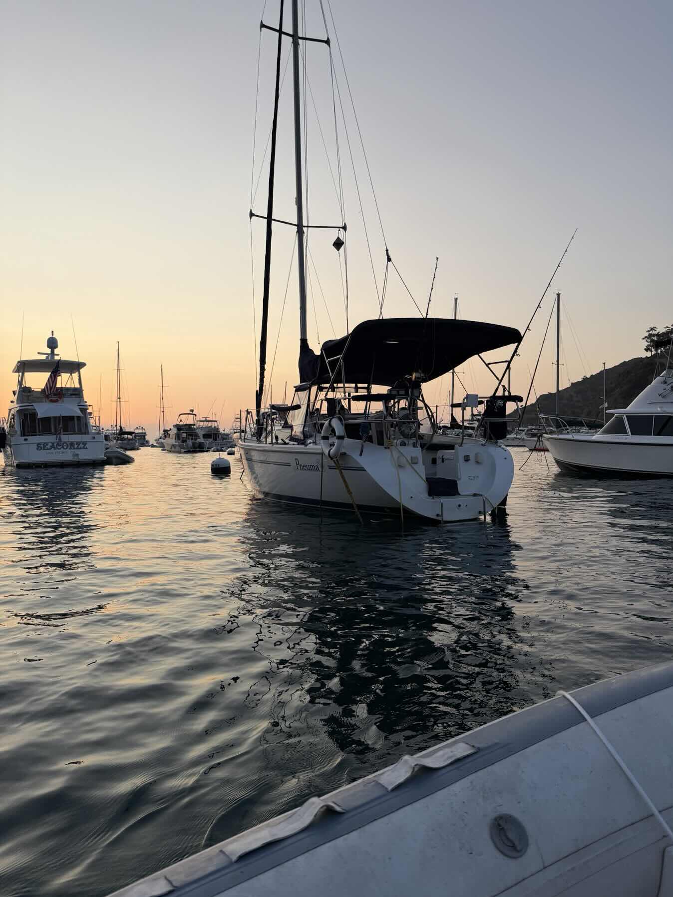 Catalina Vacation_C5C1C4DF-976A-4E85-9309-CDD410CCBF38