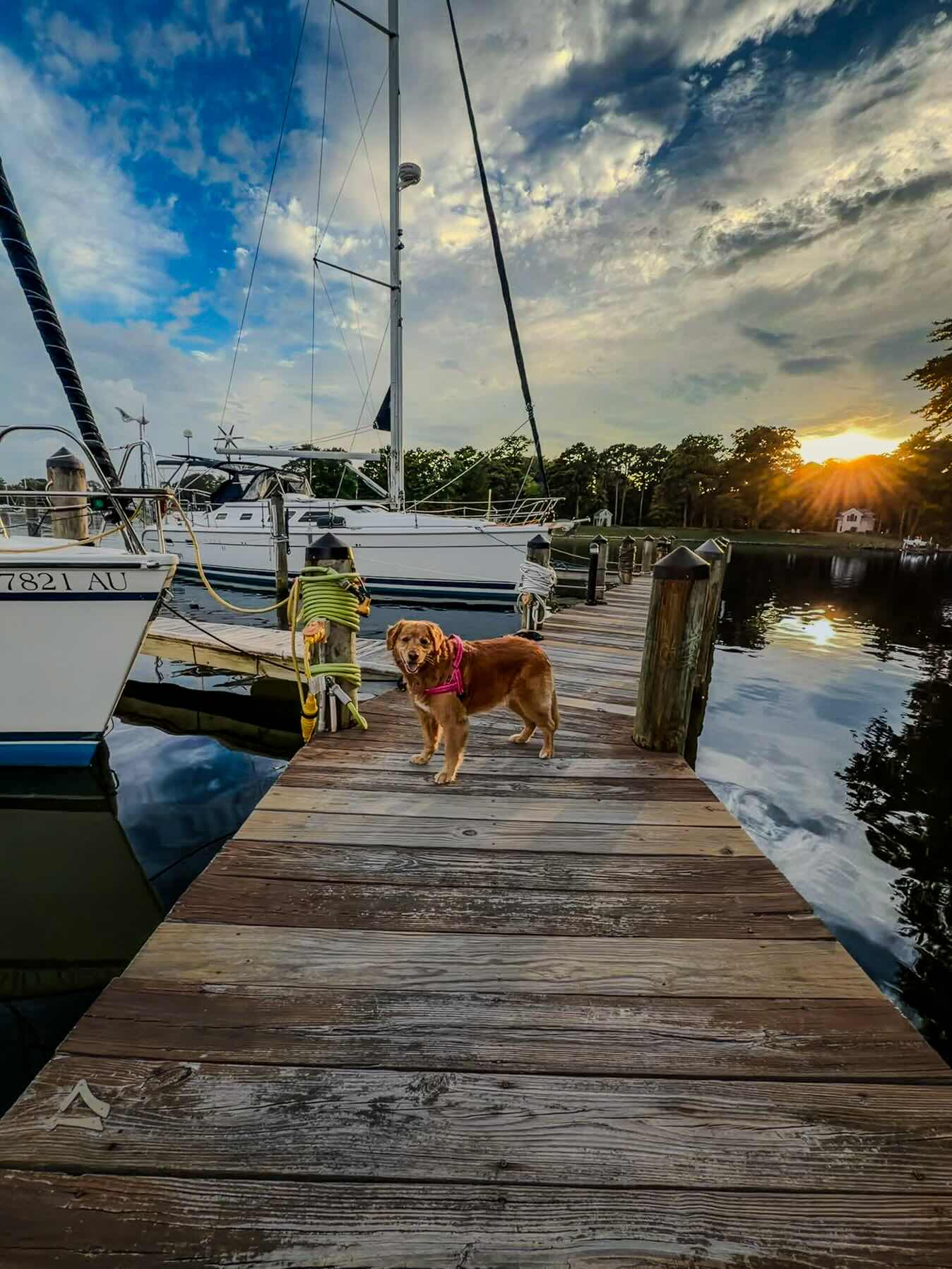 Stormy Tuesday_8469ED3C-286D-460E-B1F9-34BDB28BD2C5