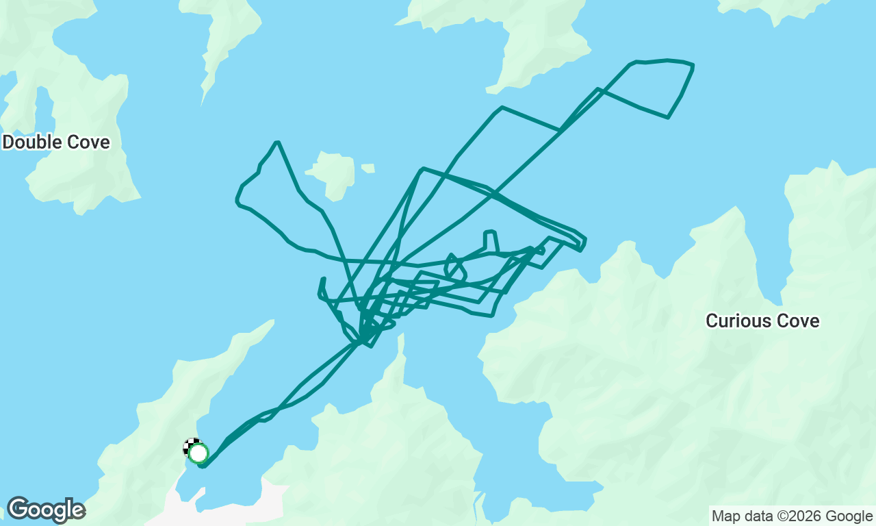 Waikawa day 1