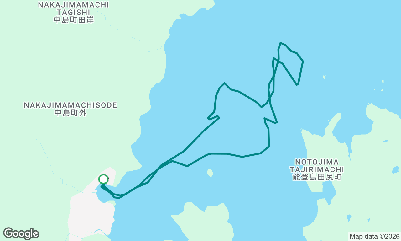 2026YMP d2.1