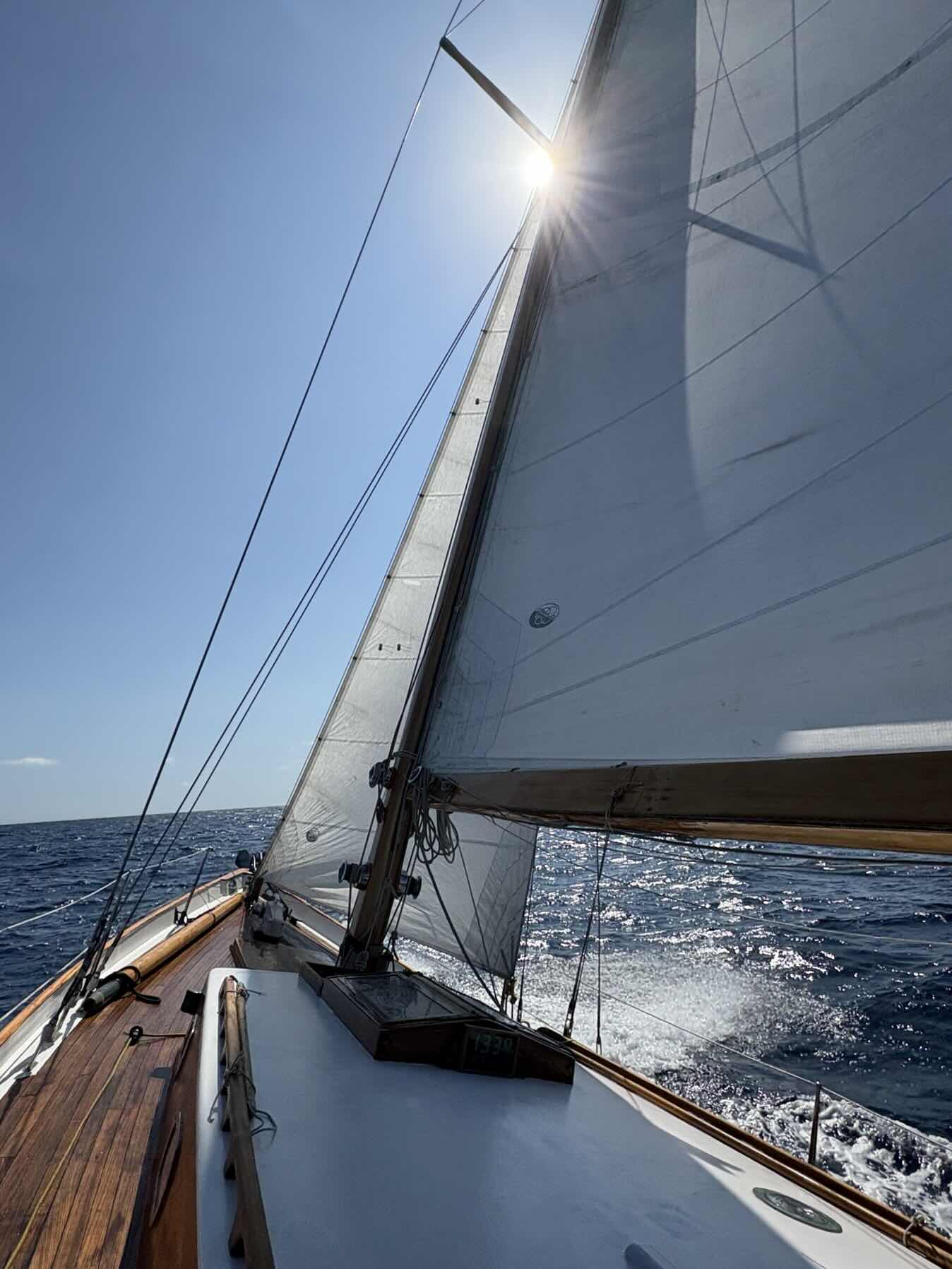 St Tropez to Cannes_B1D75C50-2812-496A-A25A-1DA6BBA8E5F8